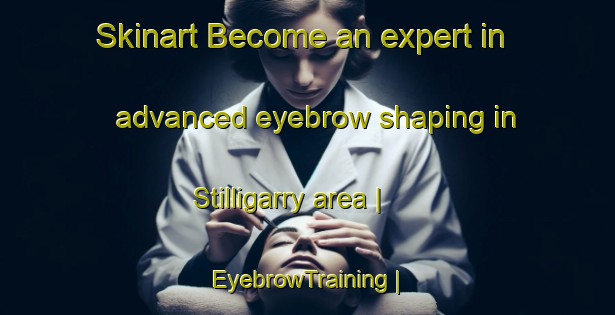 Skinart Become an expert in advanced eyebrow shaping in Stilligarry area | EyebrowTraining | EyebrowClasses | SkinartTraining-United Kingdom